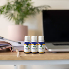 11% OFF | Total Control – Career & Life Ritual Bundle | Energy, Calm, Sleep