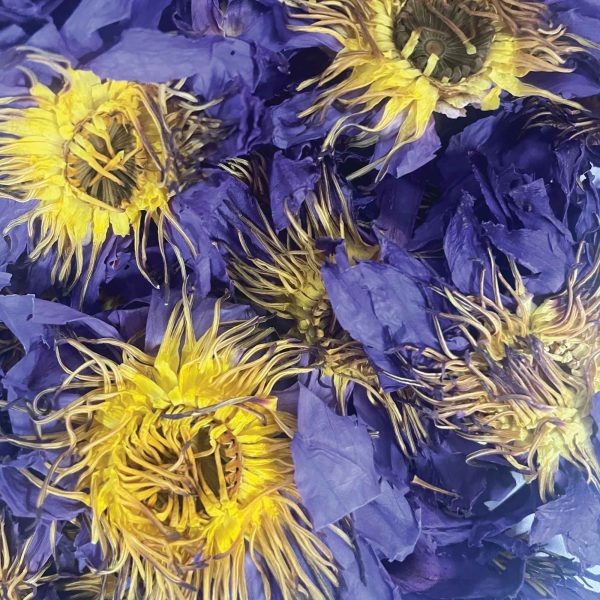 Orku 50g Blue Lotus Flowers - Dried Whole Open Lily Nymphaea Caerulea - Image 3