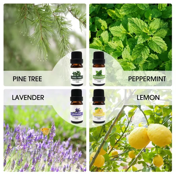 Essential Oil Set 8 Bottles Plant Aromatherapy Oils Natural Fragrance Diffuser - Image 4