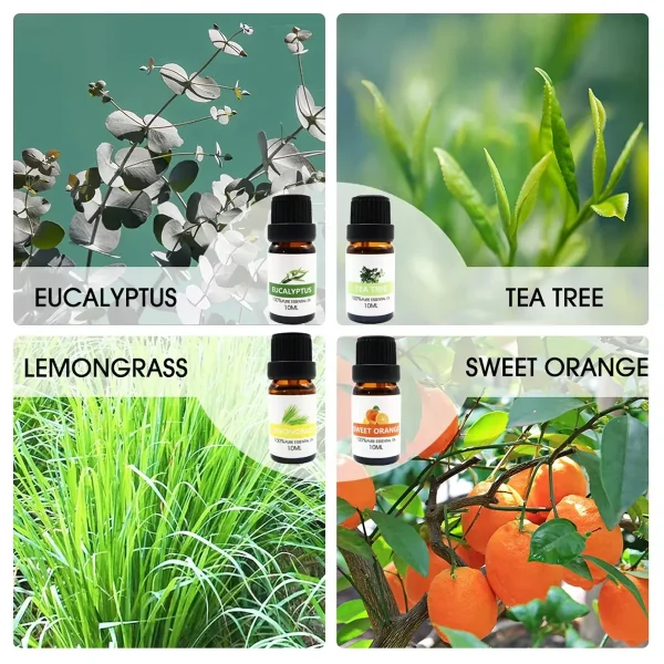 Essential Oil Set 8 Bottles Plant Aromatherapy Oils Natural Fragrance Diffuser - Image 5